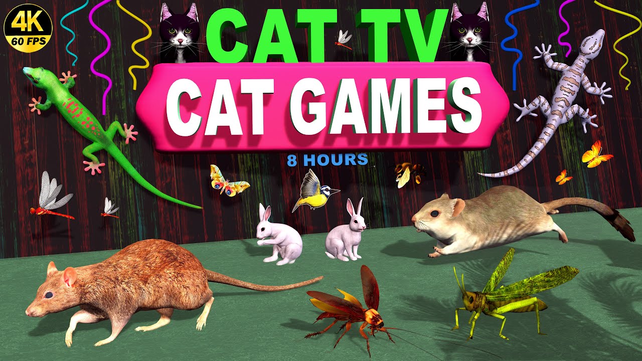 CAT GAMES | ULTIMATE BEST CAT VIDEO FOR CATS TO WATCH | DOG & KITTEN TV ON SCREEN 4K 60 FPS