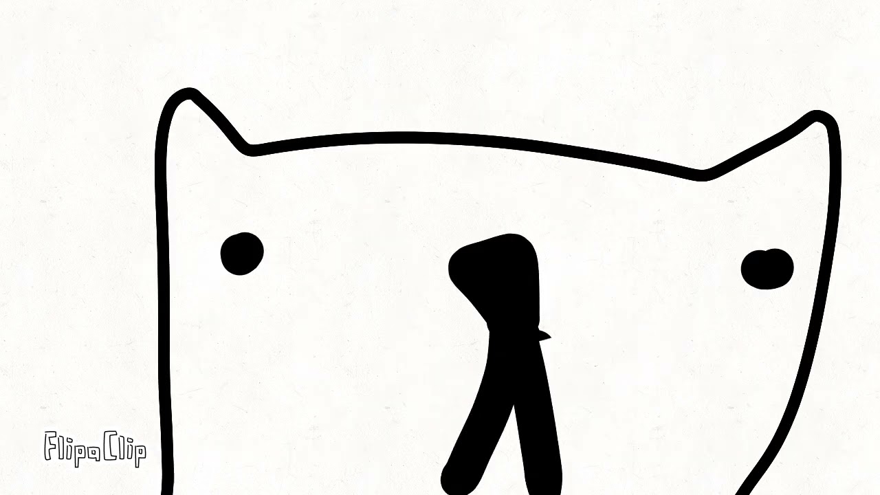 Cat going to the marccat
