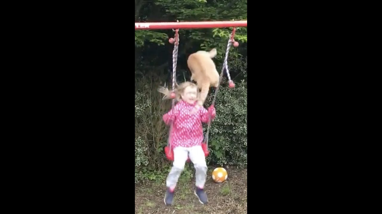 Cat makes girl fall off swing