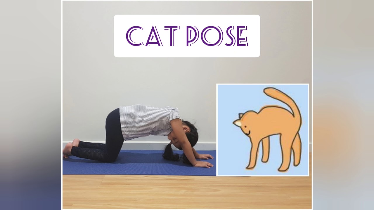 Cat pose| Animal yoga| Yoga with Claire| Yoga for beginners