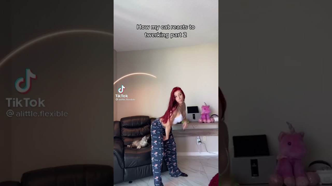Cat reacts to redhead twerking