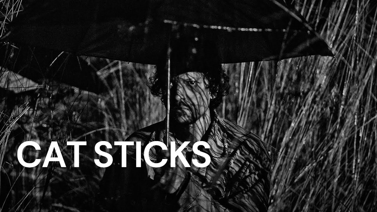 cat sticks           2019 BENGALI FULL MOVIE
