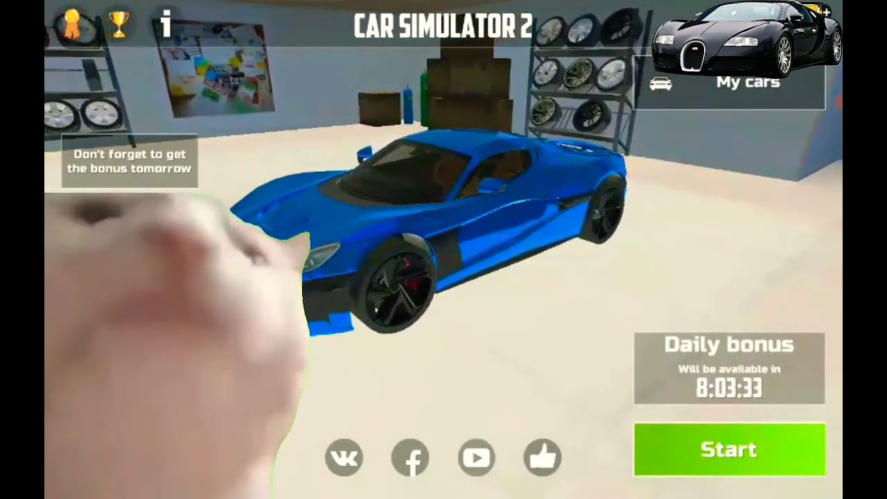 Cat Vibing To Car Simulator 2 Theme Song