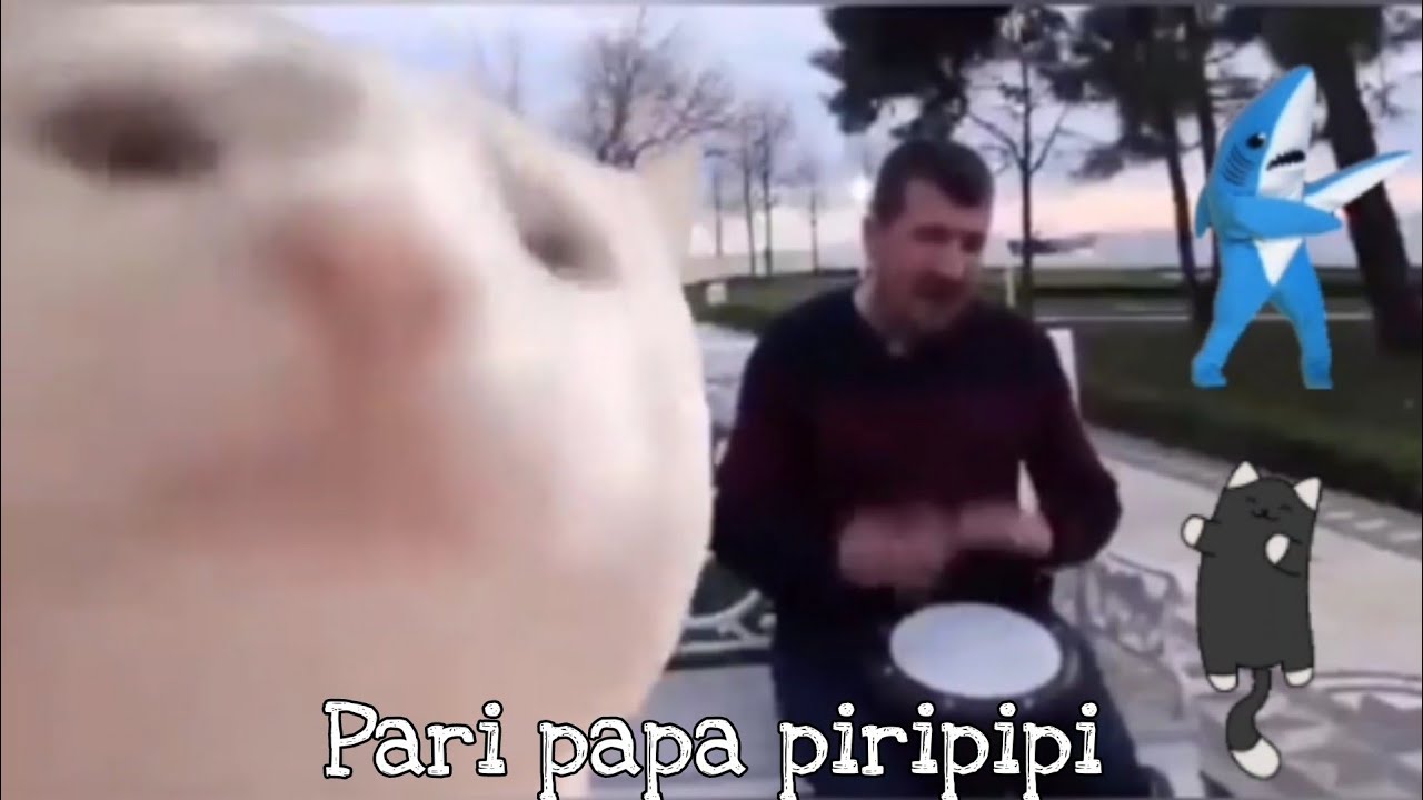 Cat vibing to Ievan Polkka - pari papa piripipi