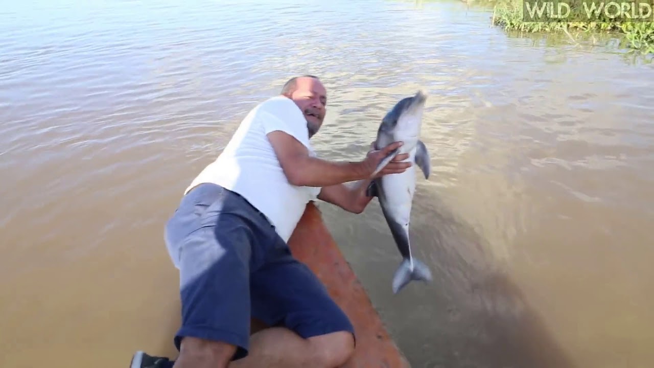 Catching A Baby Dolphin