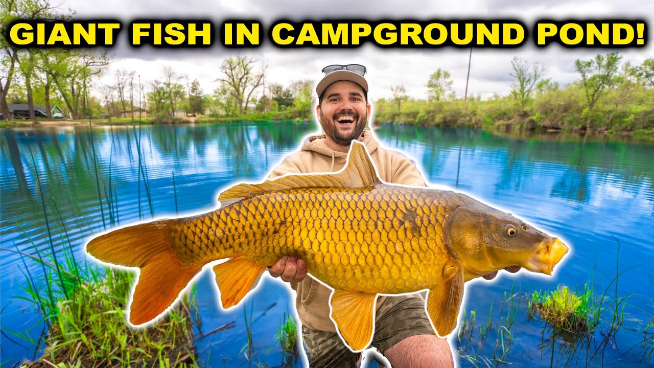Catching GIANT FISH in the CAMPGROUND Pond!!! ($9 Walmart Rod Challenge)