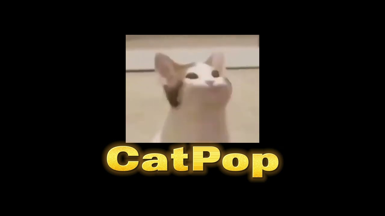 CatPop (2024)