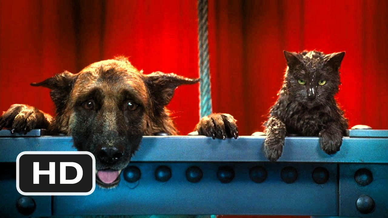 Cats & Dogs: The Revenge of Kitty Galore #7 Movie CLIP - I Think I Like You (2010) HD