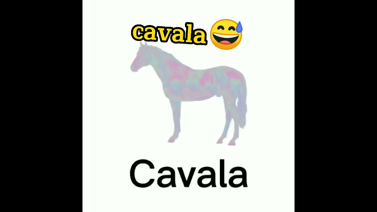#cavalo #meme #shorts