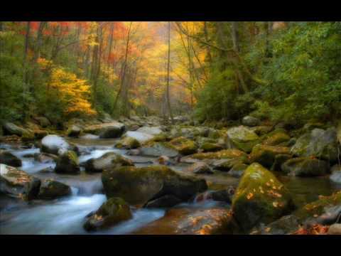 Cavatina - John Williams
