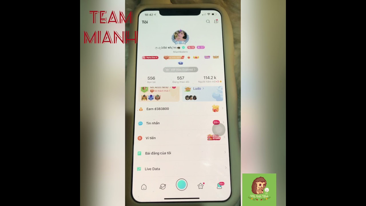 Cách tính LƯƠNG ĐẬU THƯỞNG - Team MiAnh Bigo Live.