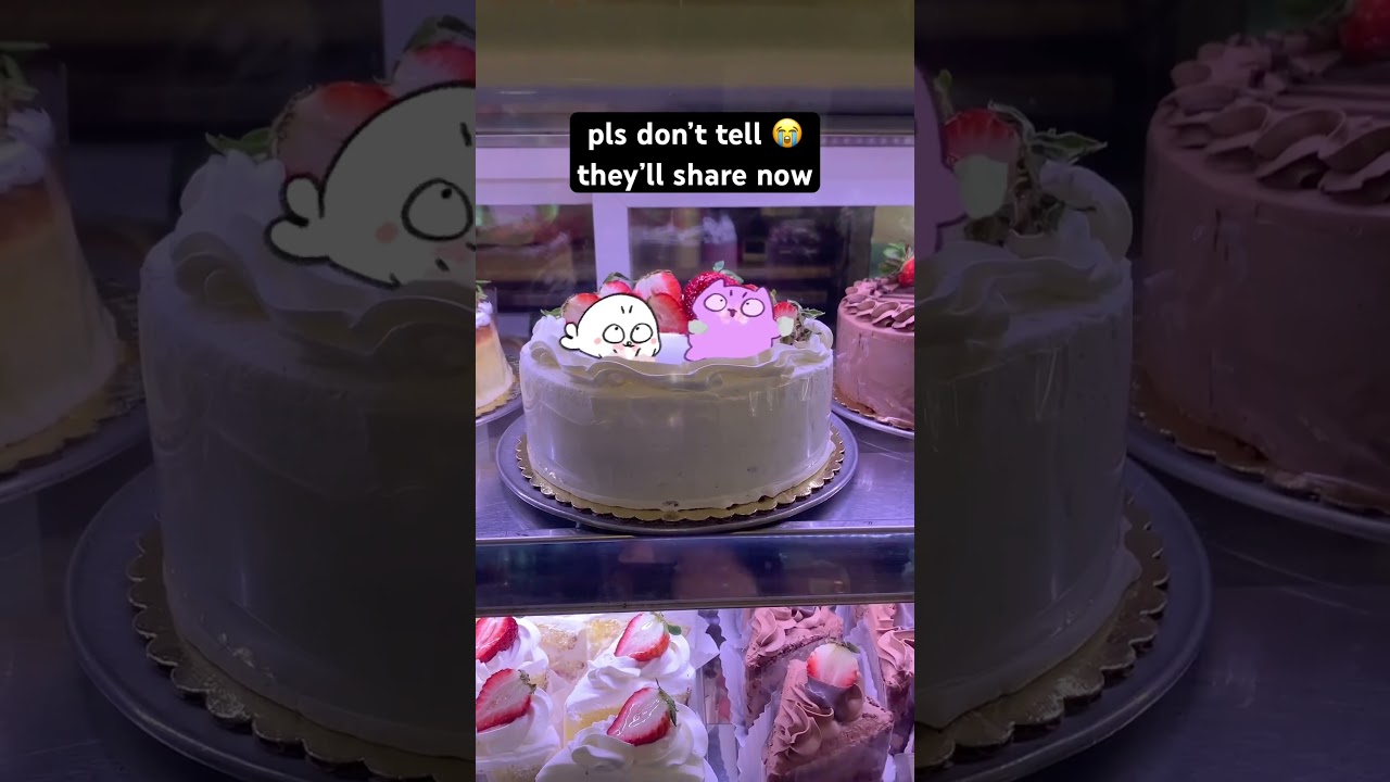 Cece and Tango snuck into the cake store 🍰