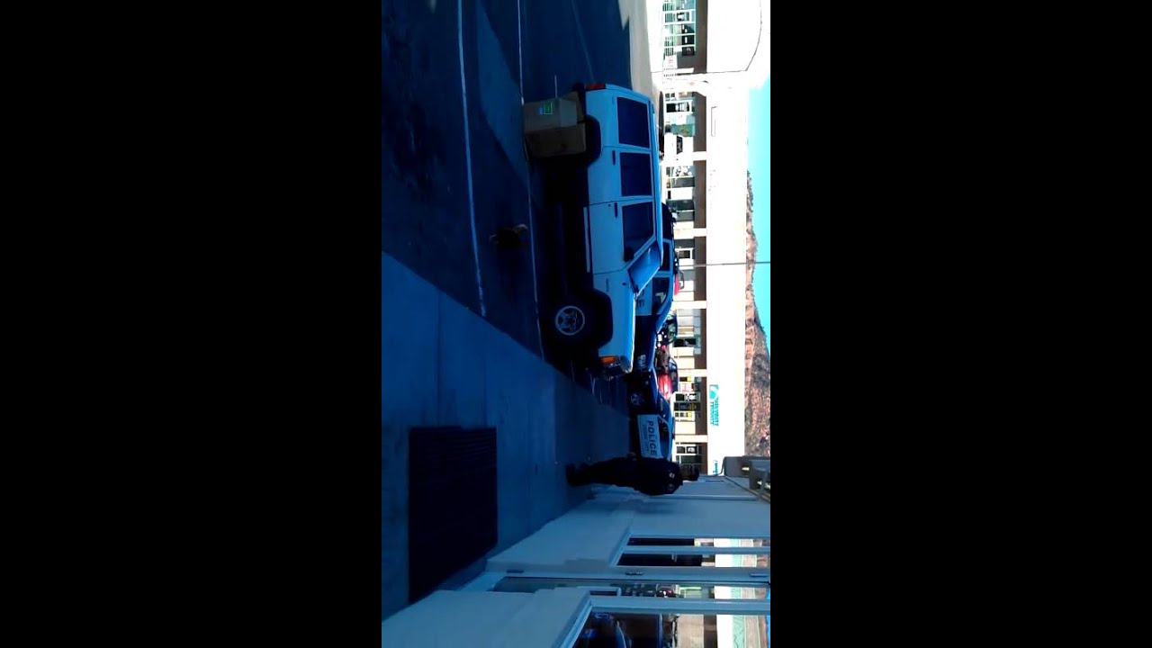 Cedar City Cops Chase Rooster