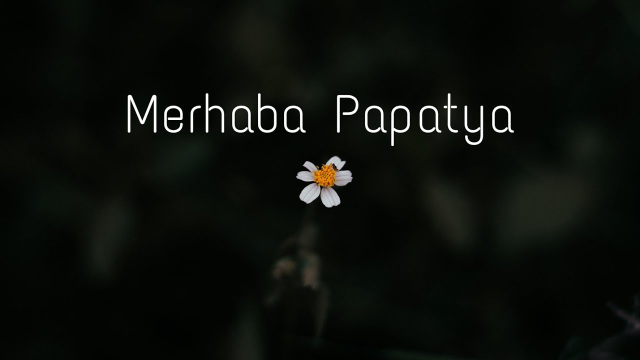 Cefa A.K.A - Merhaba Papatya