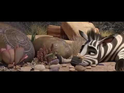 Cesur Zebra Animasyon Türkçe Dublaj tek part