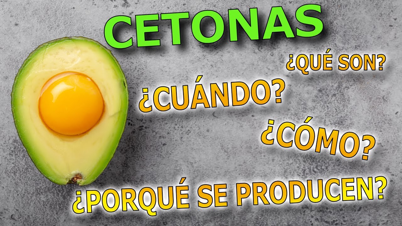 CETONAS ⚡️ - ¿Qué son? 🧐 -  Cetosis nutricional / Dieta cetogénica 🥩🥦🧈 - EL ENDOCRINO