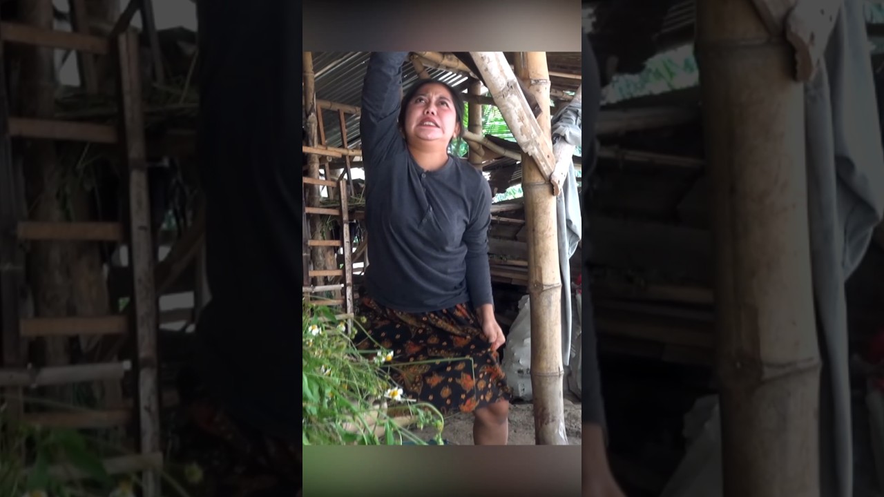 Cewek cantik ini kasih minum kambing pakai air kencingnya #comedy #shorts #lucu #shortsvideo