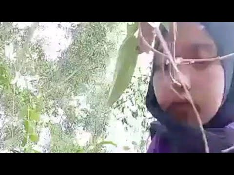 Cewek mendesah dan Crooot Dimuka No Sensor