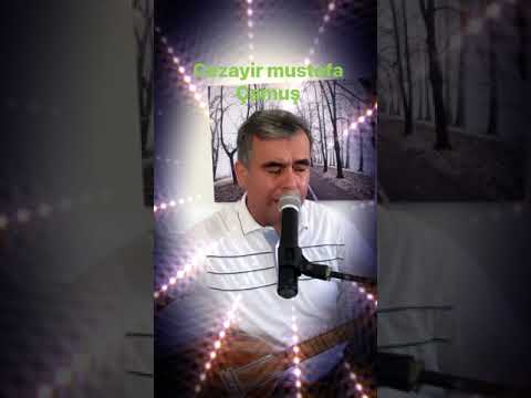 Cezayir mustafa Çamuş