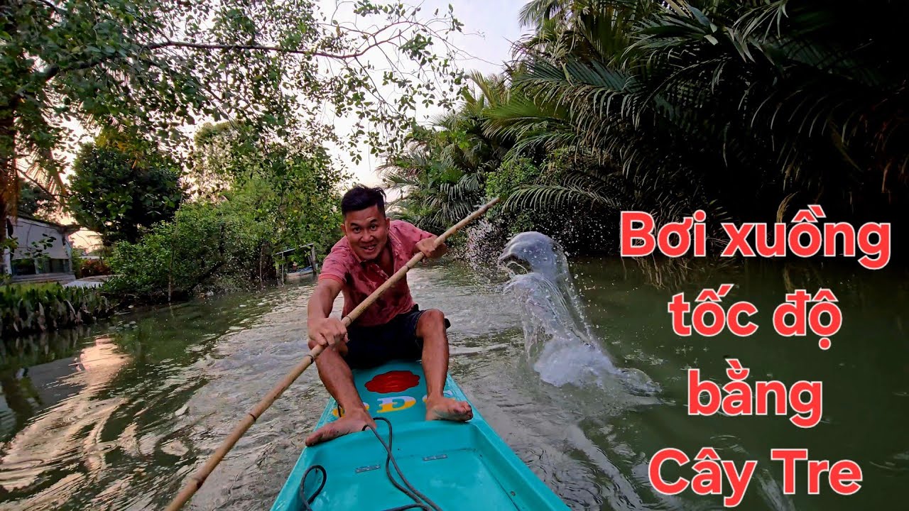Cha con bao lưới đập đuổi cá. Dính cá KuTin khoái khoái | Săn bắt SÓC TRĂNG |
