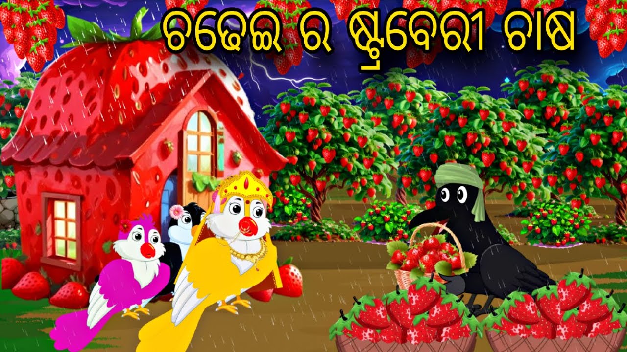 Chadhei Ra Strawberry Chasa \\ Odia Stories \\ Tiki Chadhei Gapa \\ Odia Gapa \\ Bird Gapa Kahani