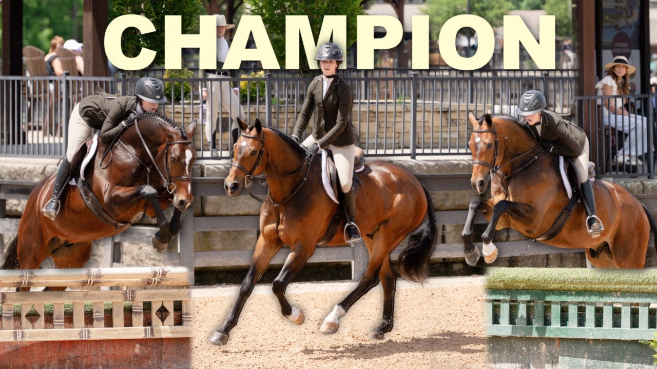 CHAMPION in the adult hunters!! | Tryon horse show vlog