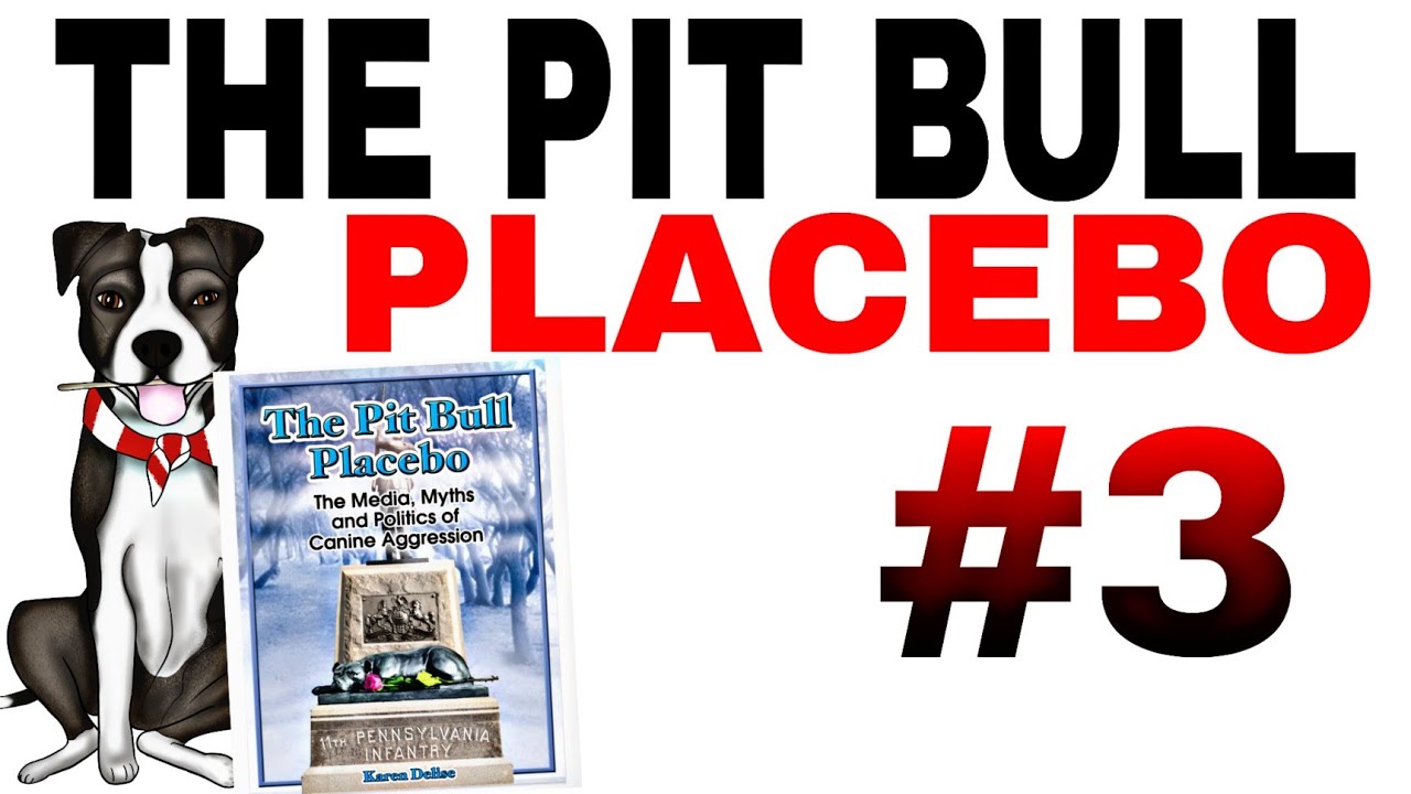 Chapter Two  - Imagery and the Mediain 19th Century America #pitbull #apbt