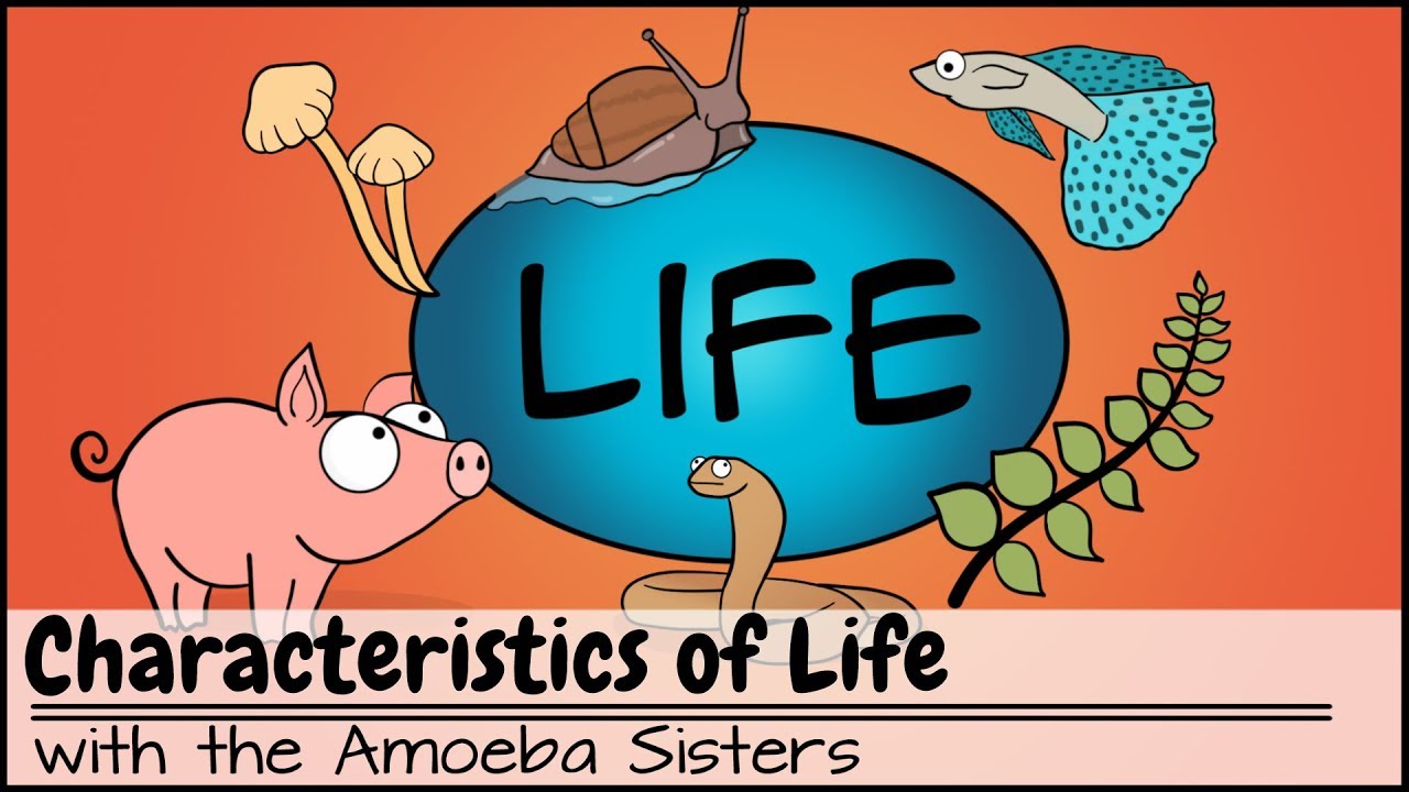 Characteristics of Life