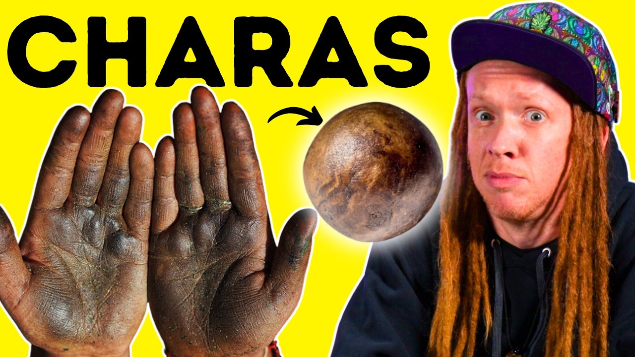 Charas: The World’s First Full-Spectrum Concentrate