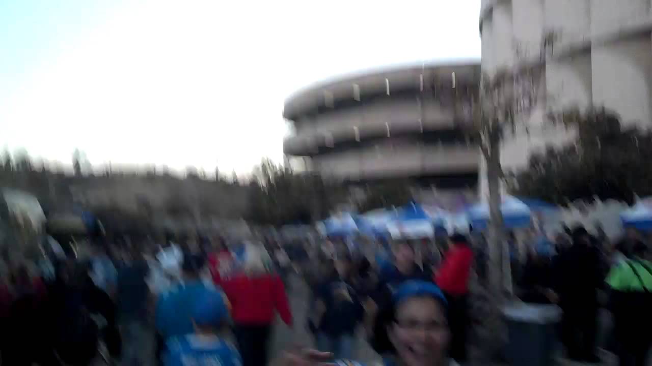 Chargers Fans Celebrate Chargers Playoff Berth