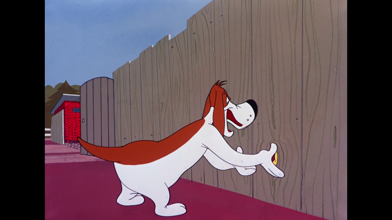 Charlie le coq - Défense de fouiner (1953)