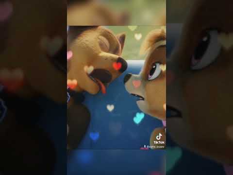 Chase x Skye i love this scene