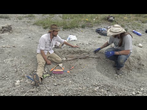 Chasing History: Montana Dinosaur Hunting - Two Medicine Formation