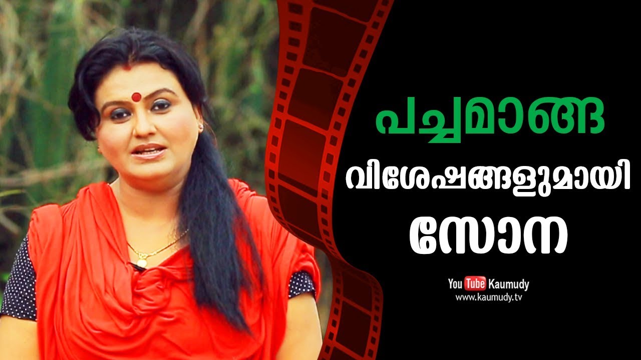 Chat with Sona | Pachamanga Malayalam Film | Kaumudy TV