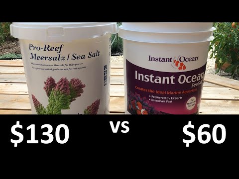 Cheap salt vs. expensive salt for your reef tank - part 1