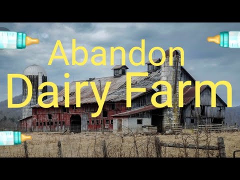 Checking out an old dairy barn