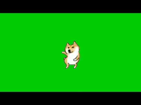 Cheems Dogge Dog animated Solo dance Green screen Video template for memes Trending Dogge Memes