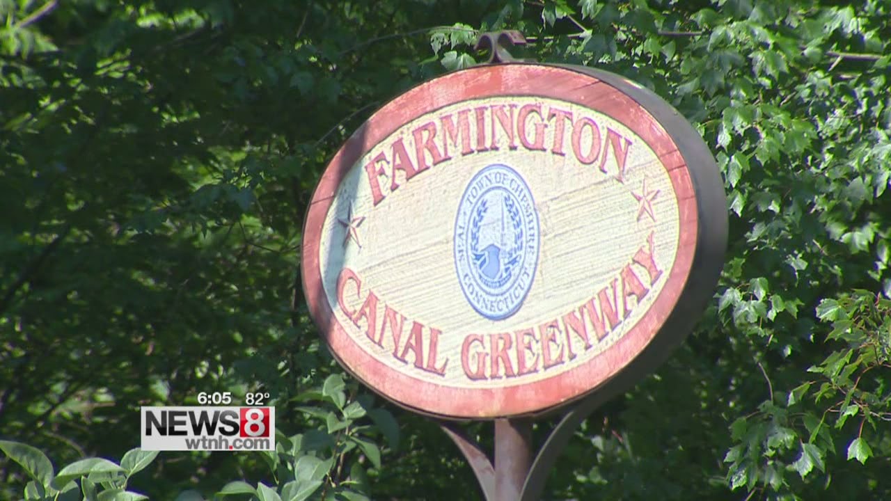 Cheshire police search for teen accused of groping several women