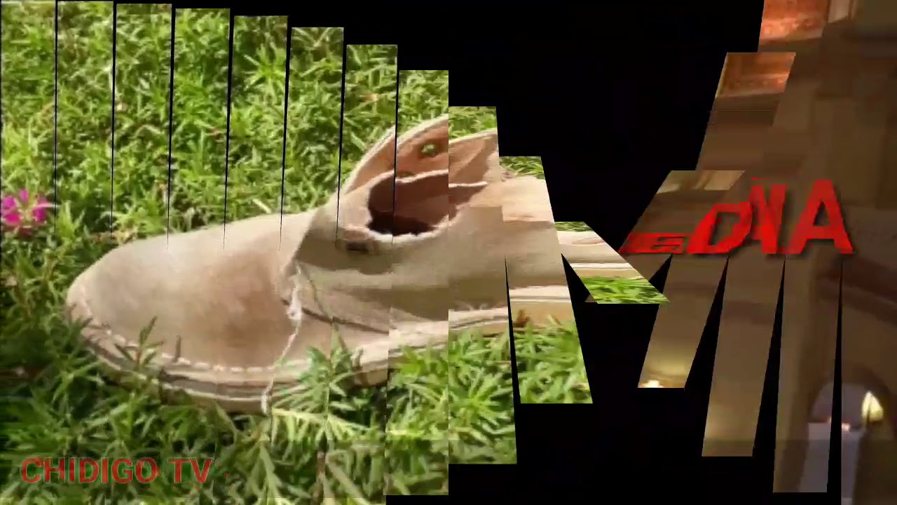 Chidigo tv