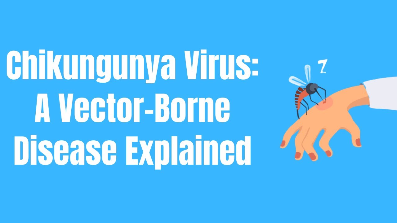 Chikungunya Virus: A Vector-borne Disease Explained