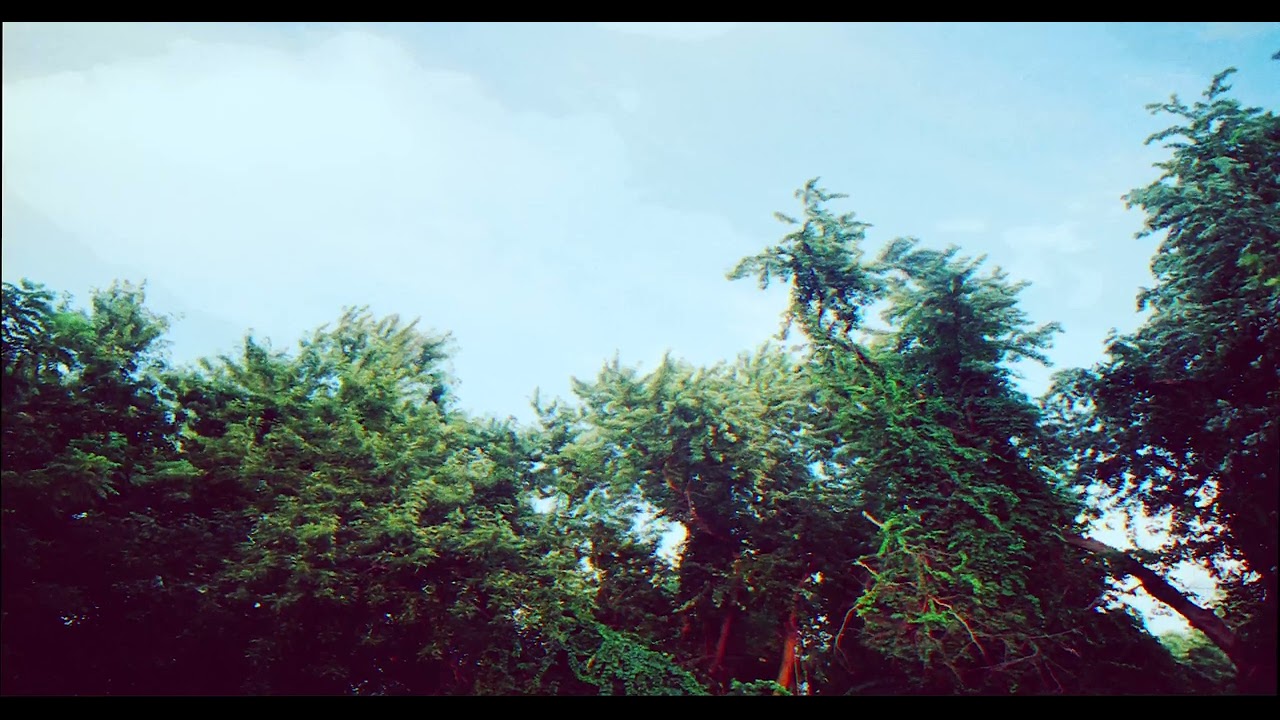 Chimera - Best Strangers