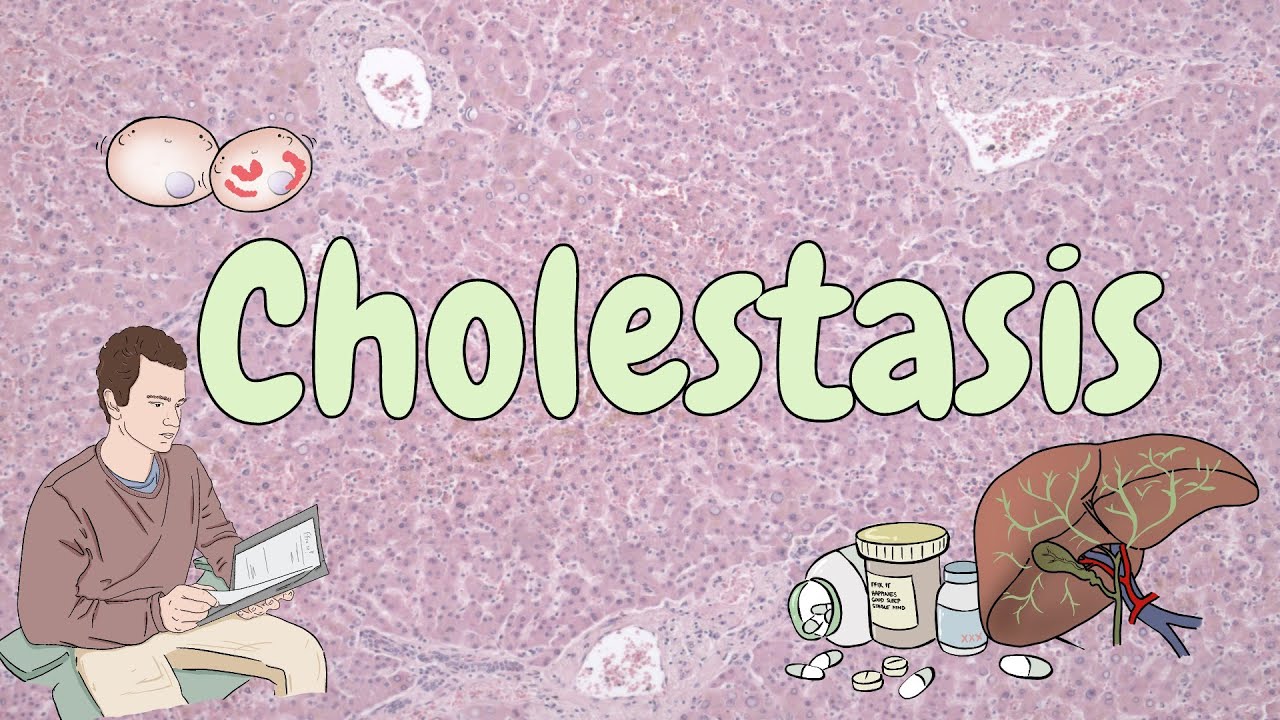 Cholestasis - liver pathology