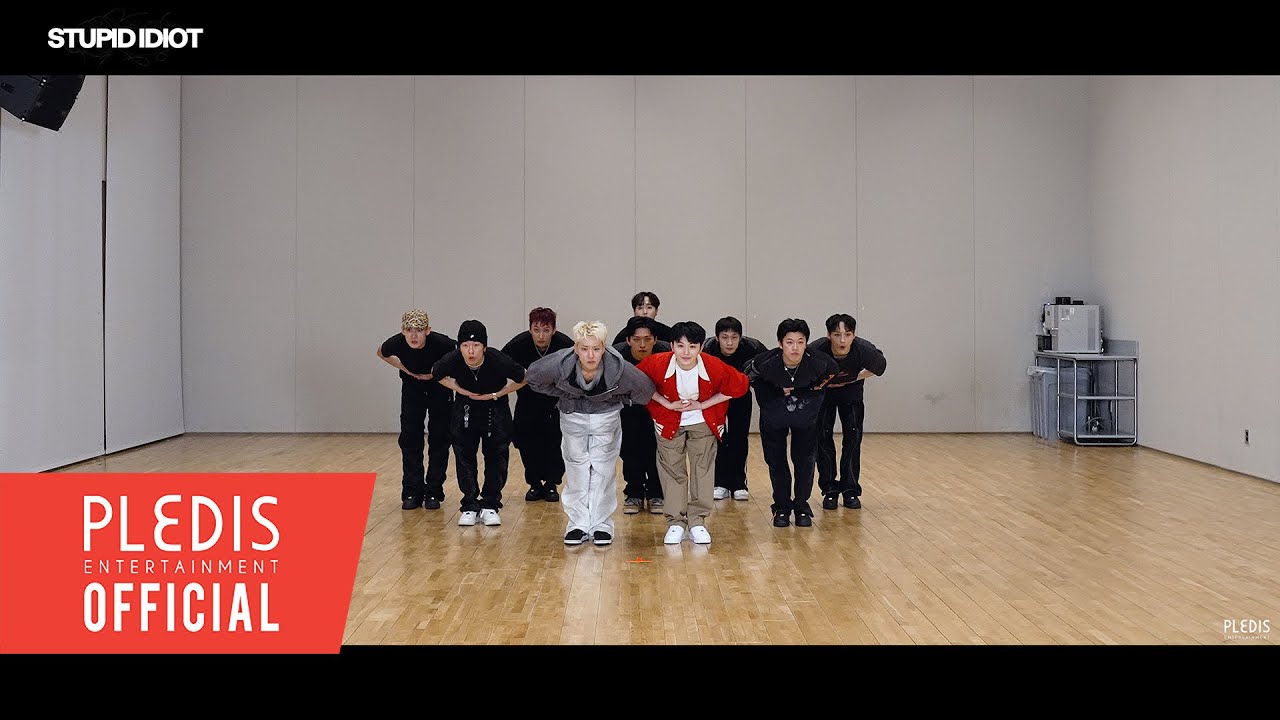 [Choreography Video] HOSHI X WOOZI (SEVENTEEN) - STUPID IDIOT