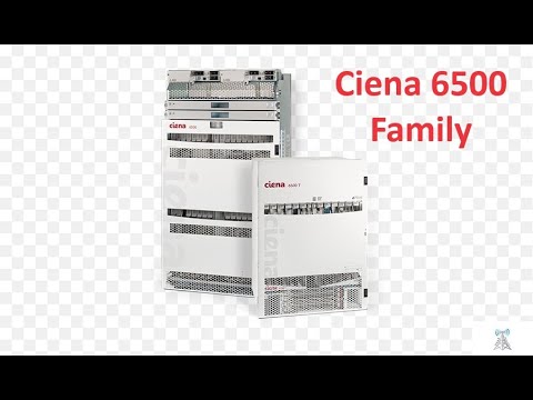 Ciena 6500