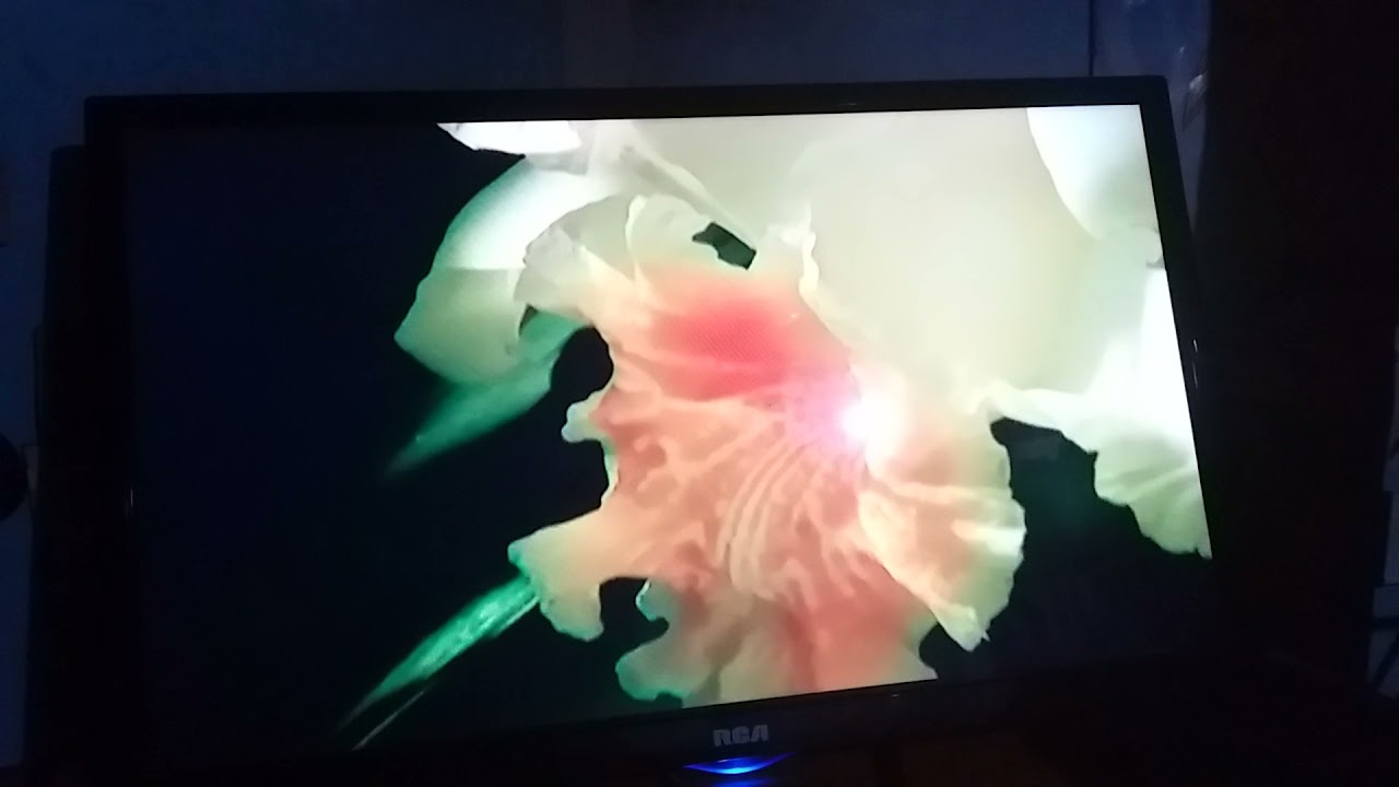 cierre de transmisiones de Canal 9 Costa Rica Multivision MV9