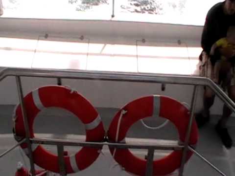 cies1.MOD