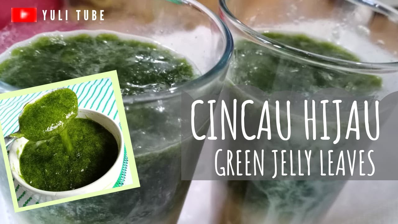 Cincau Hijau | Green Jelly Leaves | ASMR | Yuli Tube