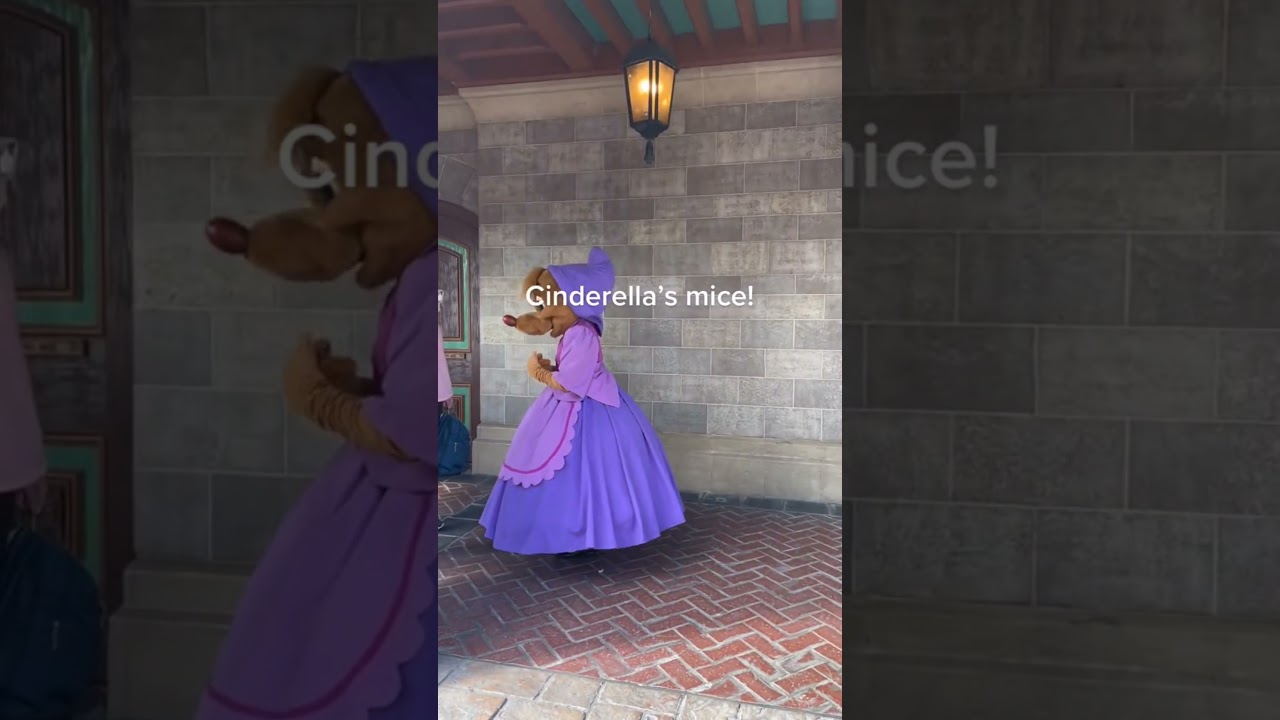 Cinderella Mices !! #disney #magickingdom