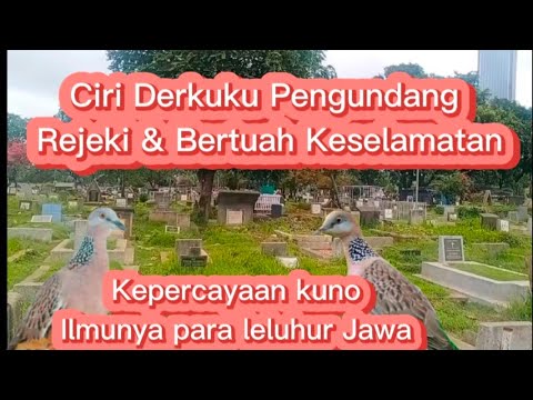 Ciri derkuku bertuah pembawa rejeki serta keselamatan