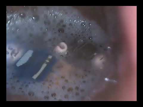 *CJ Gulps* Lego Men in Stomach ADDED SOUNDS
